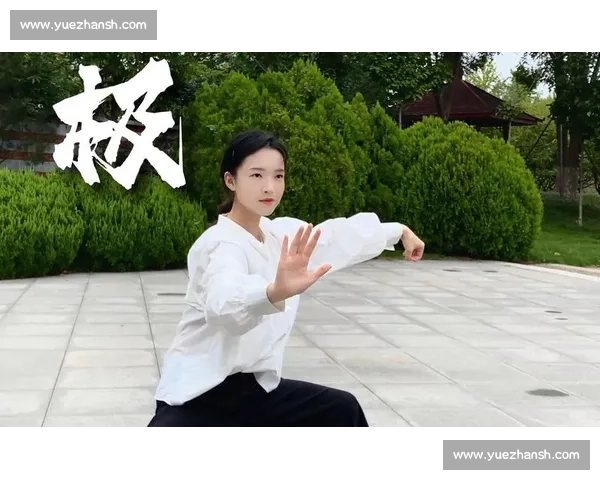 以太极对战格斗视频为核心的实战对比与传统武术现代碰撞解析